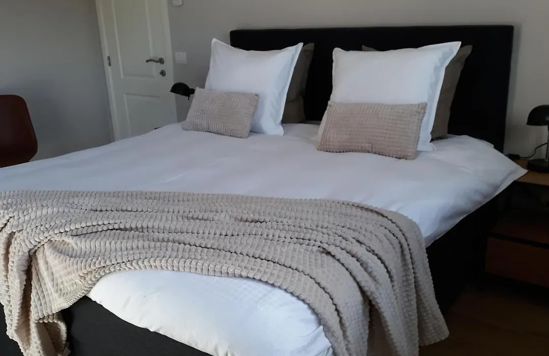 B&B Valant-1
